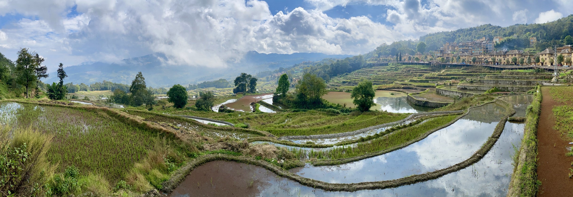 江心靜當代水墨藝術CHIANG HSIN-CHING 's Contemporary Art, image size:2436x839